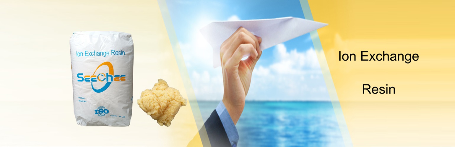 Ion Exchange Resin